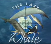 last-whale